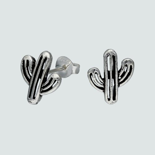 Aro Cactus