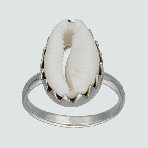 Anillo Concha