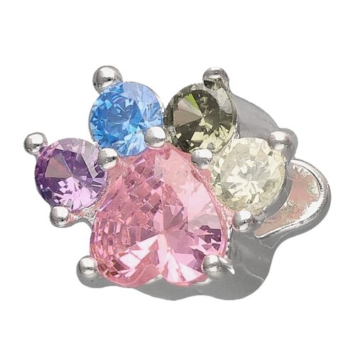 Colgante Charm Patita Circones Multicolor