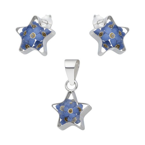 Conjunto Estrella Flores Naturaleza Muerta