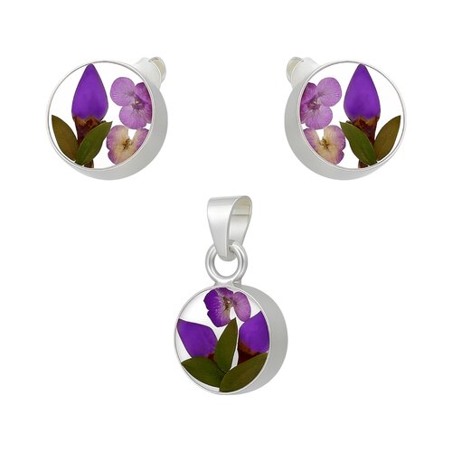 Conjunto Circulo Naturaleza Muerta