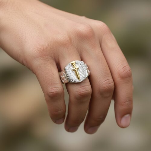 Anillo Sello Espada en Oro Circones